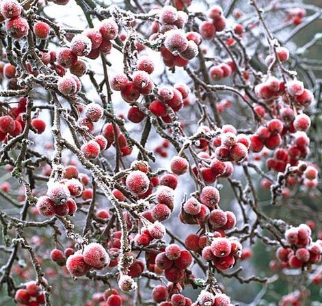 ��� ������� ������ ��� � ������ ���������