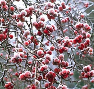 ��� ������� ������ ��� � ������ ���������