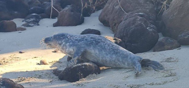 ��������� �� �������� ����: ������ ����� ������� � �����