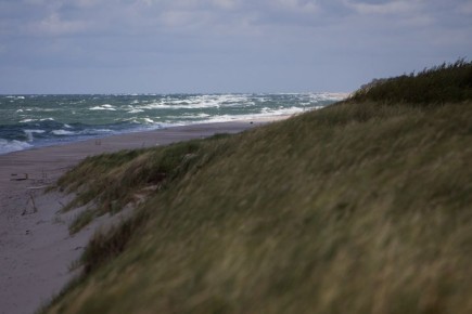 � �������� ������ � ��� ����� �� ���������� �����: ������� ������ � ������������ � ������� �� 9 ������