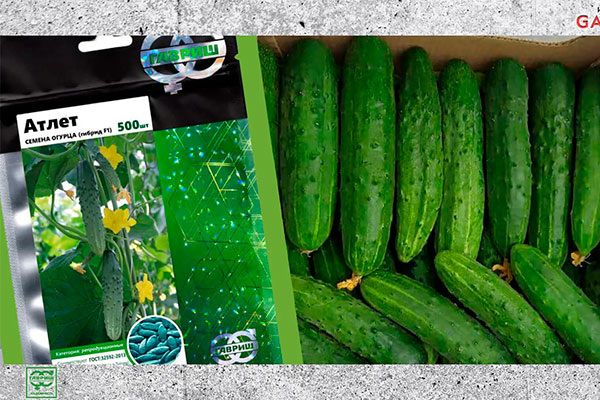 ������� ��������� ����������� ������� ����� �����