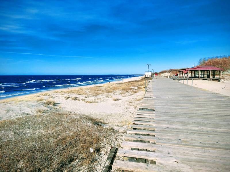 ��� � ��������� ����� ��������� �� 1,4 ���� ������