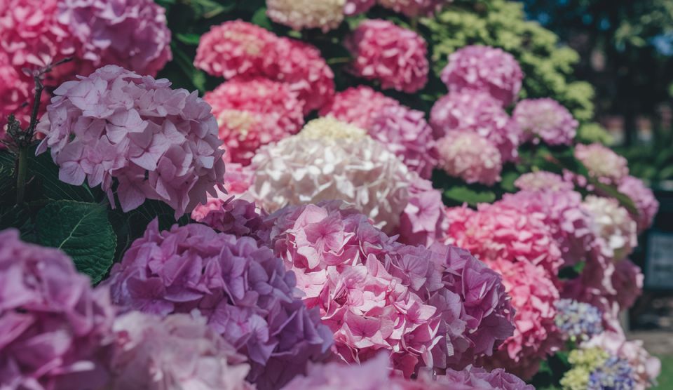 ������ ��������� �������������� ����� ��������� � ����� ����?