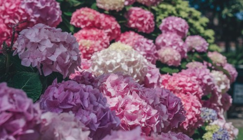 ������ ��������� �������������� ����� ��������� � ����� ����?