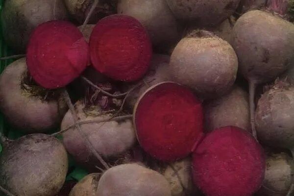 ������� ���������: ��������� ���� ��� ������ ���������