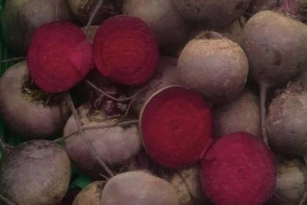 ������� ���������: ��������� ���� ��� ������ ���������