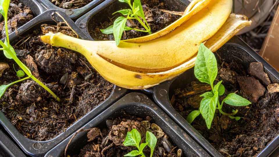 ��� �������� ������ ����� ������� ��� ������ ��� ��������