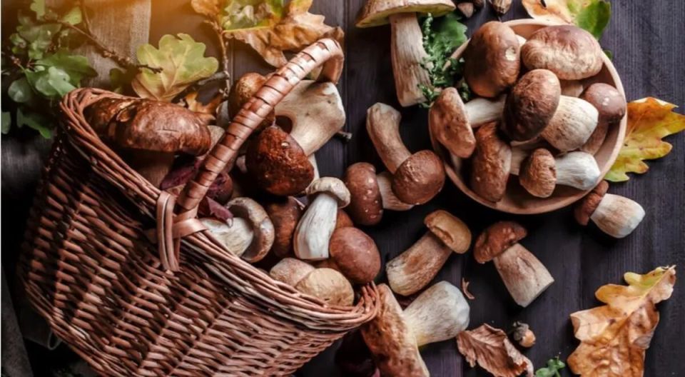 ����� �� ����� �����: ��������� ��������� � ����������