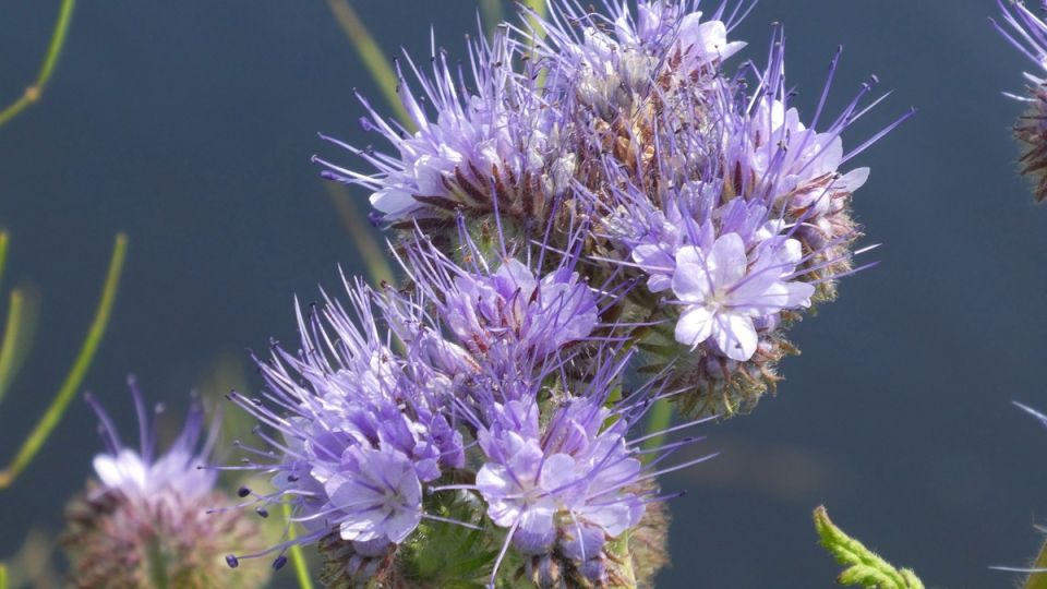 ��������: ��� ������� ����� � ����� ��� �����