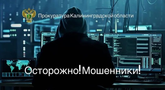 Только за один день жители Калининградской области отдали мошенникам более 4,3 млн рублей