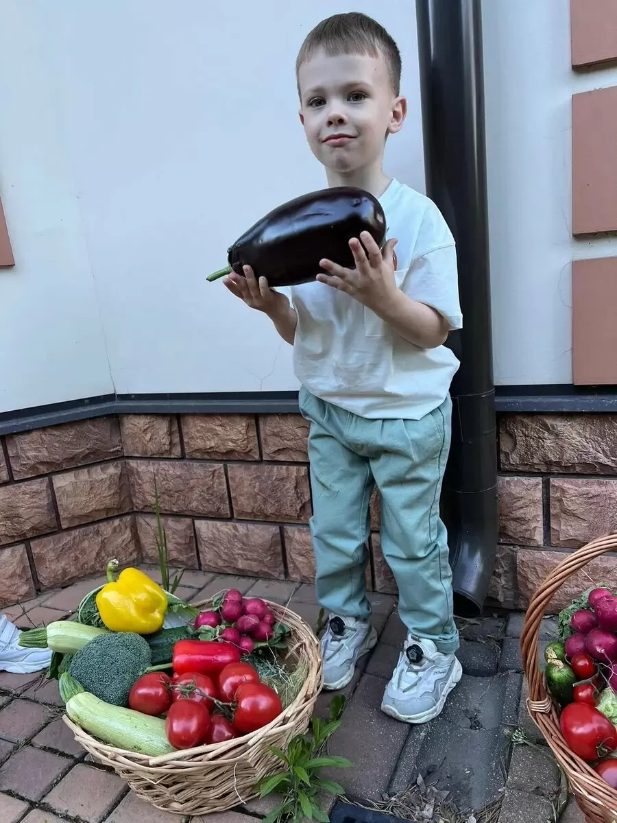 Формировка перцев и баклажанов: секреты для успешного урожая