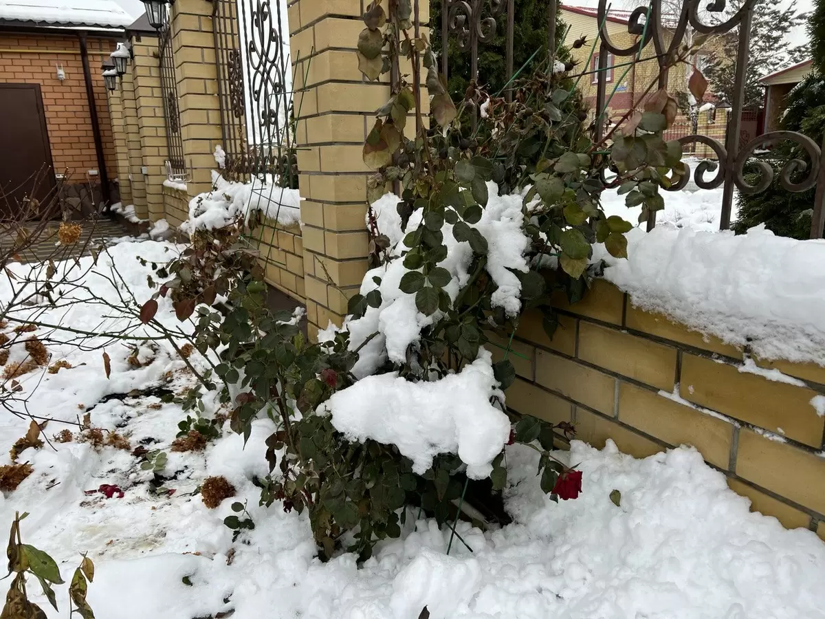 Завершение дачного сезона: что учесть для успешной зимовки