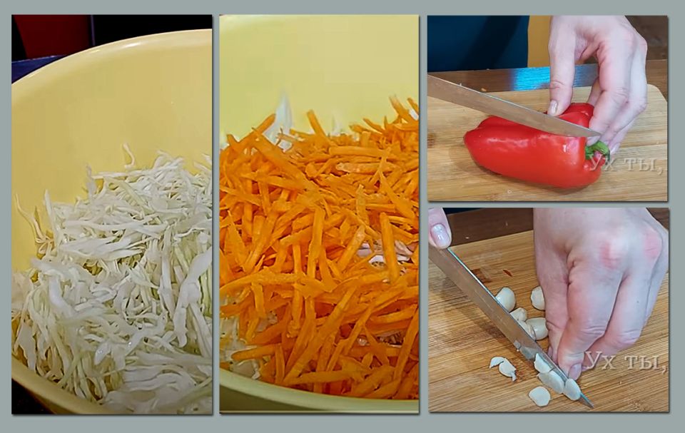 ����� ���� � �����: ��������� ������ ��������� �� ����