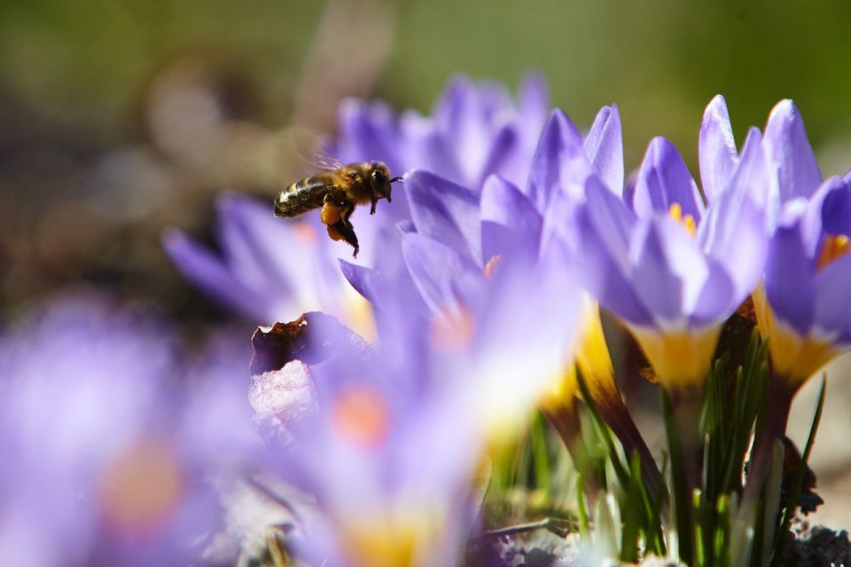 ������ � ������������ � ������� �� 12 ������