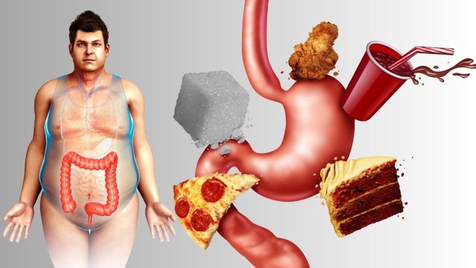 ����� ��� ����: ��� ������� ������ �� ���� ����