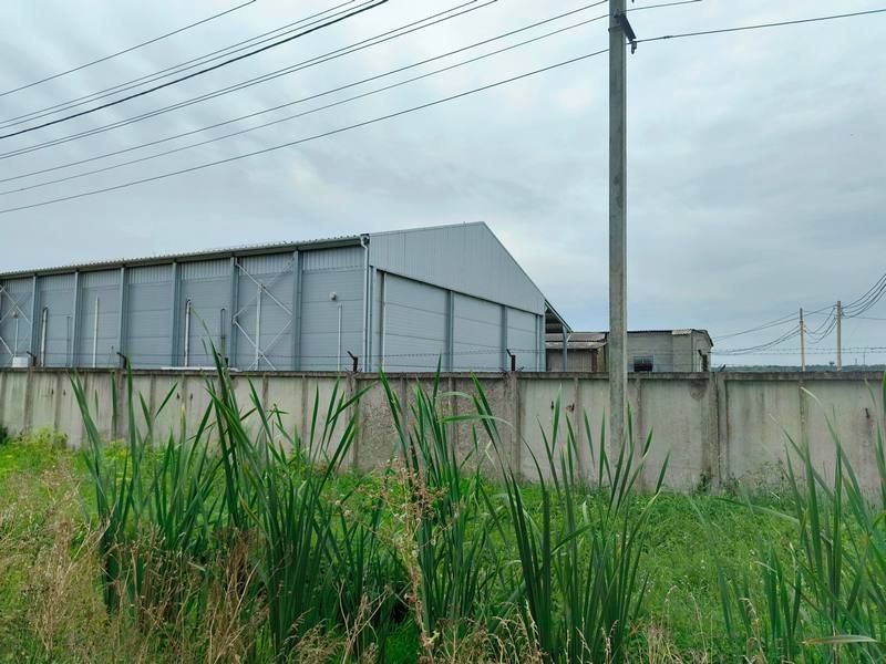 ������ ������� ������ �������� � ��������������� ������ ��� ������