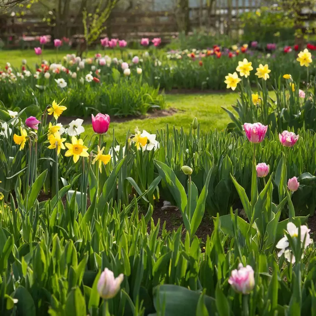 Февральская рассада: с кем не поспешить, а кого сеять немедленно
