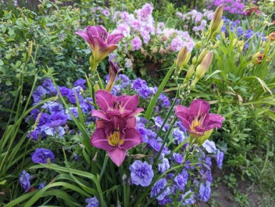 ���������� ����������� ��� �������� � 2025 ����