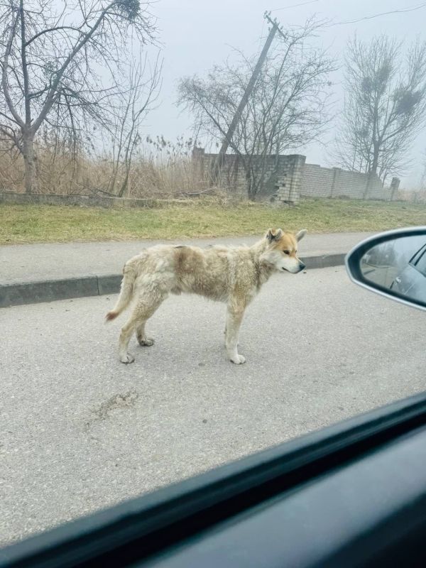 ���� ��������� ���, � ������ � ���� �� �����: � ������������ ������� �������, ������� ������� ��� ������