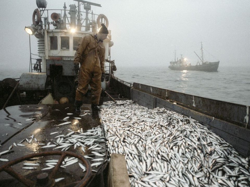 ������ �� ���������� ������: ����� �������� ���� ������ � ������ ����