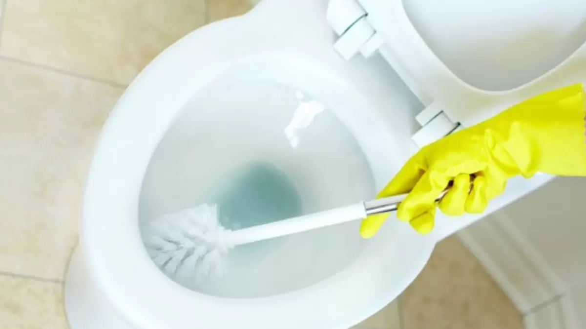 Как вернуть сантехнике первозданный вид: простые и эффективные методы чистки