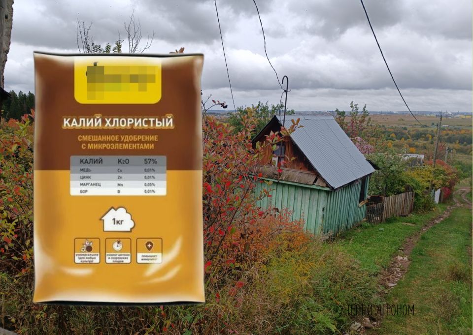 ��������� �����: ��� ���� ��� ��������, � ��� ���� � ����������?