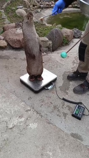 ����� �� �� ������ �����, ������� ����� ���� ��������� ����, ���� �� �����?