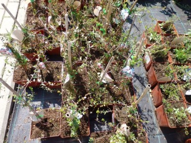 ������� ��������� ����� �� ��������� ������