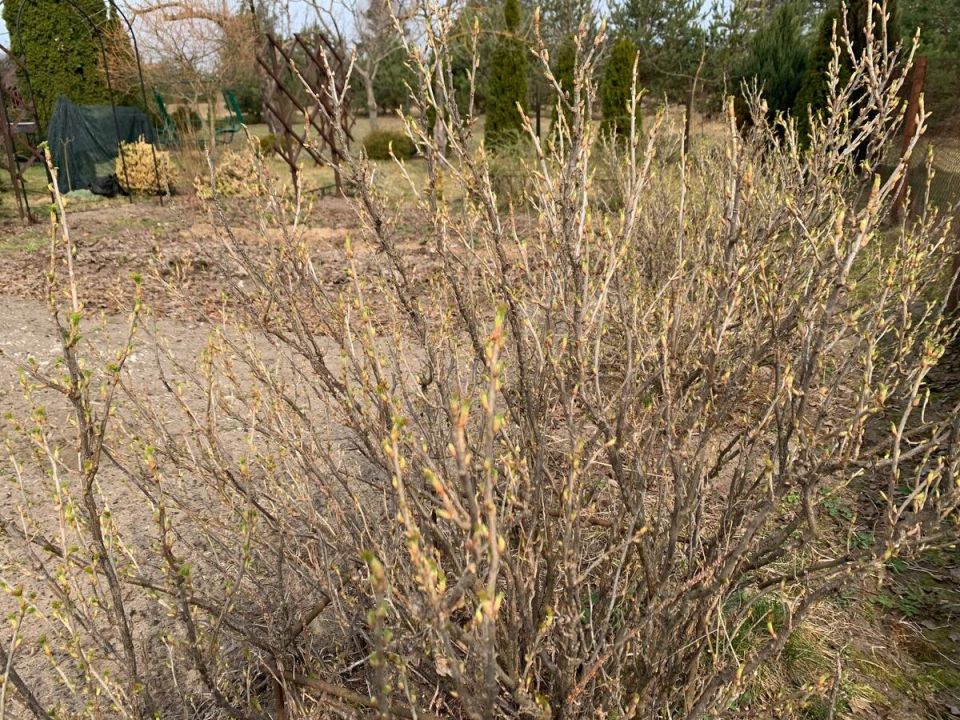 ��� ��������� ������ ��������� ��� �������� ������