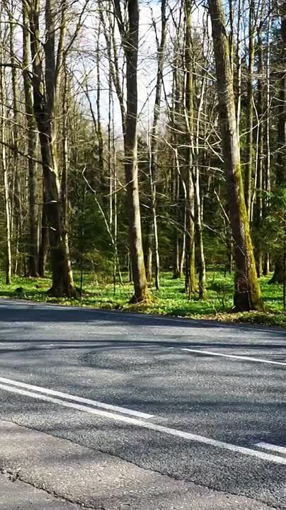 ����� �������������. ������ ���������� ����� � ������������ ��������������, ����� �������� �� ���������� ����� #�����@lepota_kld