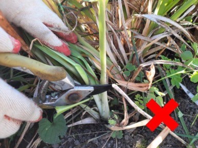 ����������� ������� �������������: ������� �������� ����� �� ����������