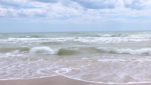 ���� ����������� �� �������: ��� �� ������ ������������