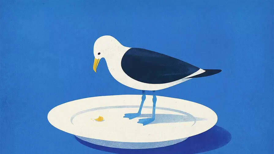 Тарелочницы и тарелочники: о чем шумит общество?