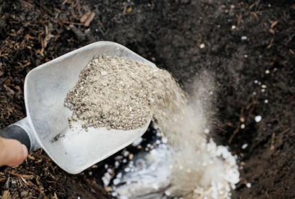 ��� ��������� ������������ ����� ������: ������ ��� �����������