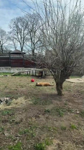 ��� ���� � ������� � ���?. ���������� �������� ��������� ��������, ��� ��� �������� ��������, ��� � ���� � ������������� ���������� � ��������� �������