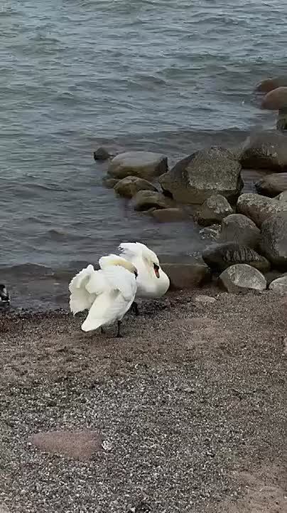 �������� ��������� �� ������ �������