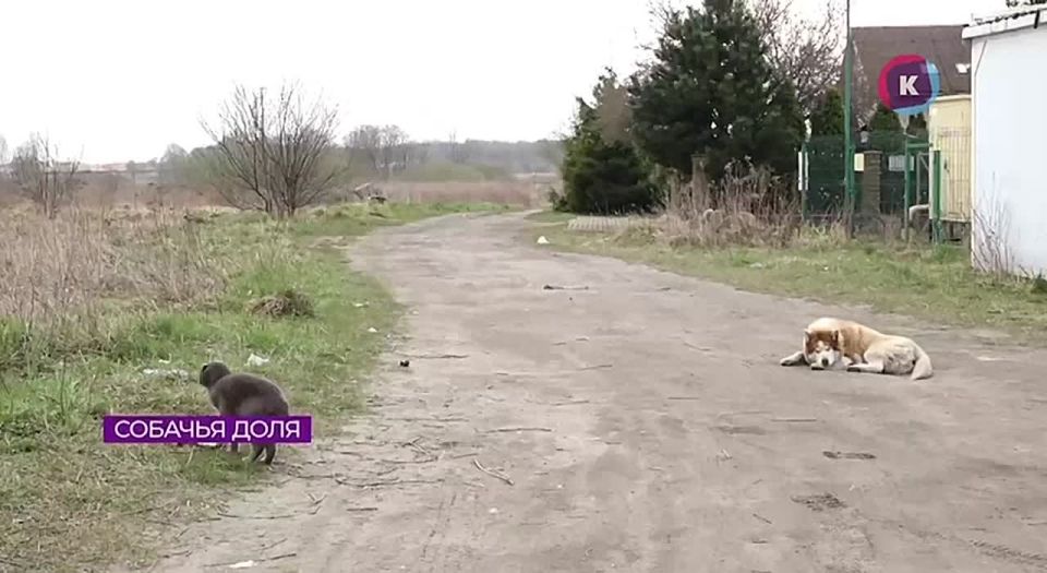 ������� ������ �� ���������� ���������� ����
