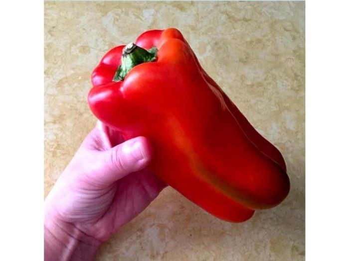 ������� ����� ������� ���������: ������� ��� ��������� ������