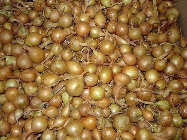 ������� �������� �������� ������� ����: ������ �� ����� �� �������� ����������