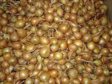 ������� �������� �������� ������� ����: ������ �� ����� �� �������� ����������