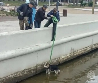 � ������� ��������� � ������� ����� �� ������� ������ ���