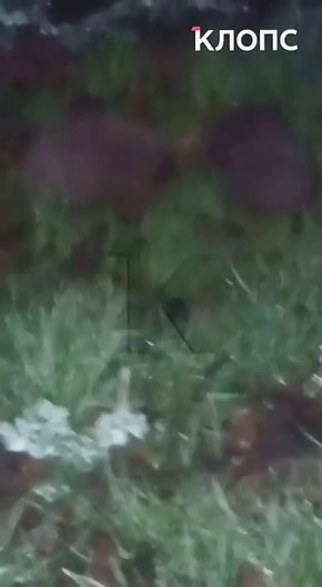 ������ �������� ���������� ����� ����� ���� ������