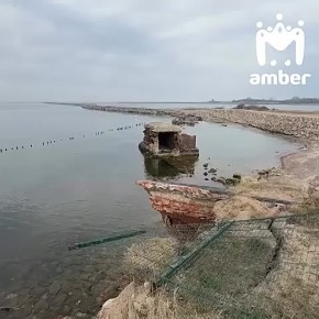 �������� ���� ���������� ��������