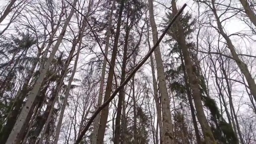 ������� �������, ���!. ����� ����������� ����� ���������� �� +2 �� +4�C, � ������� ���������� �� +7...+10�C