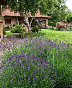 �������� �������� ����� �� ��������: �������, ����������� � �������