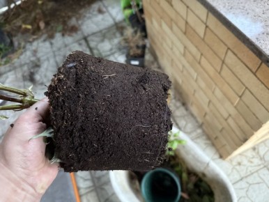 ��� ��������� ������ ����������: ������, ������� ����� ���������