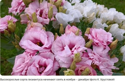 �������: ��� ��������� � ������� ����� ��� ���� �������