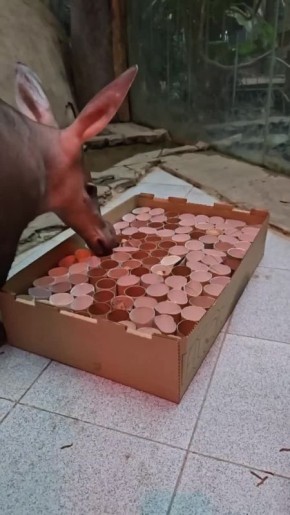 ������� ��������������� ��������