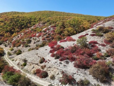 ������� ����������: ������������ ����� ��� ������������������ ����