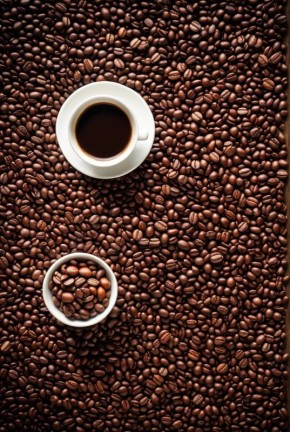 ��� ������� ��������� ����: �� ������� �� �������